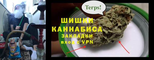 мдпв Вязьма