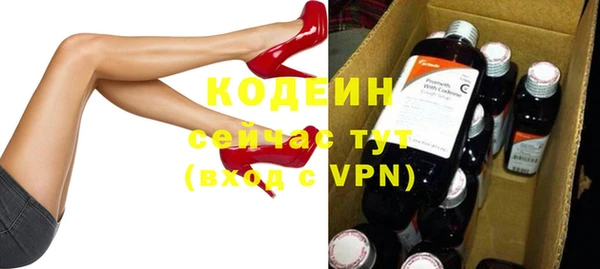 амф Вяземский