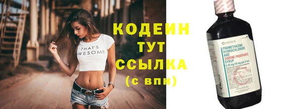 мдпв Вязьма