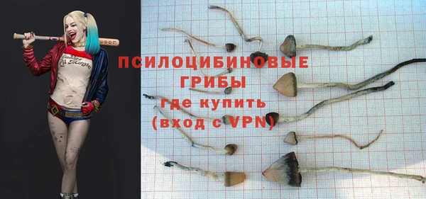твердый Вязники