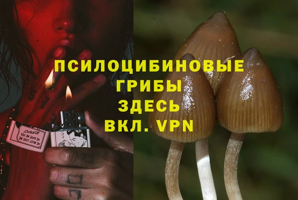 амф Вяземский